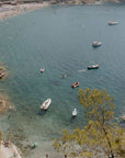 Boutique Winery Visit with Food & Wine Tastings in Cinque Terre - Wine Tasting - Touraround