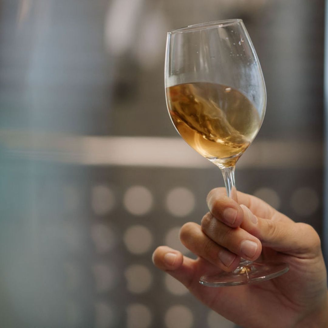 Boutique Winery Visit with Food & Wine Tastings in Cinque Terre - Wine Tasting - Touraround