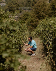 Boutique Winery Visit with Food & Wine Tastings in Cinque Terre - Wine Tasting - Touraround