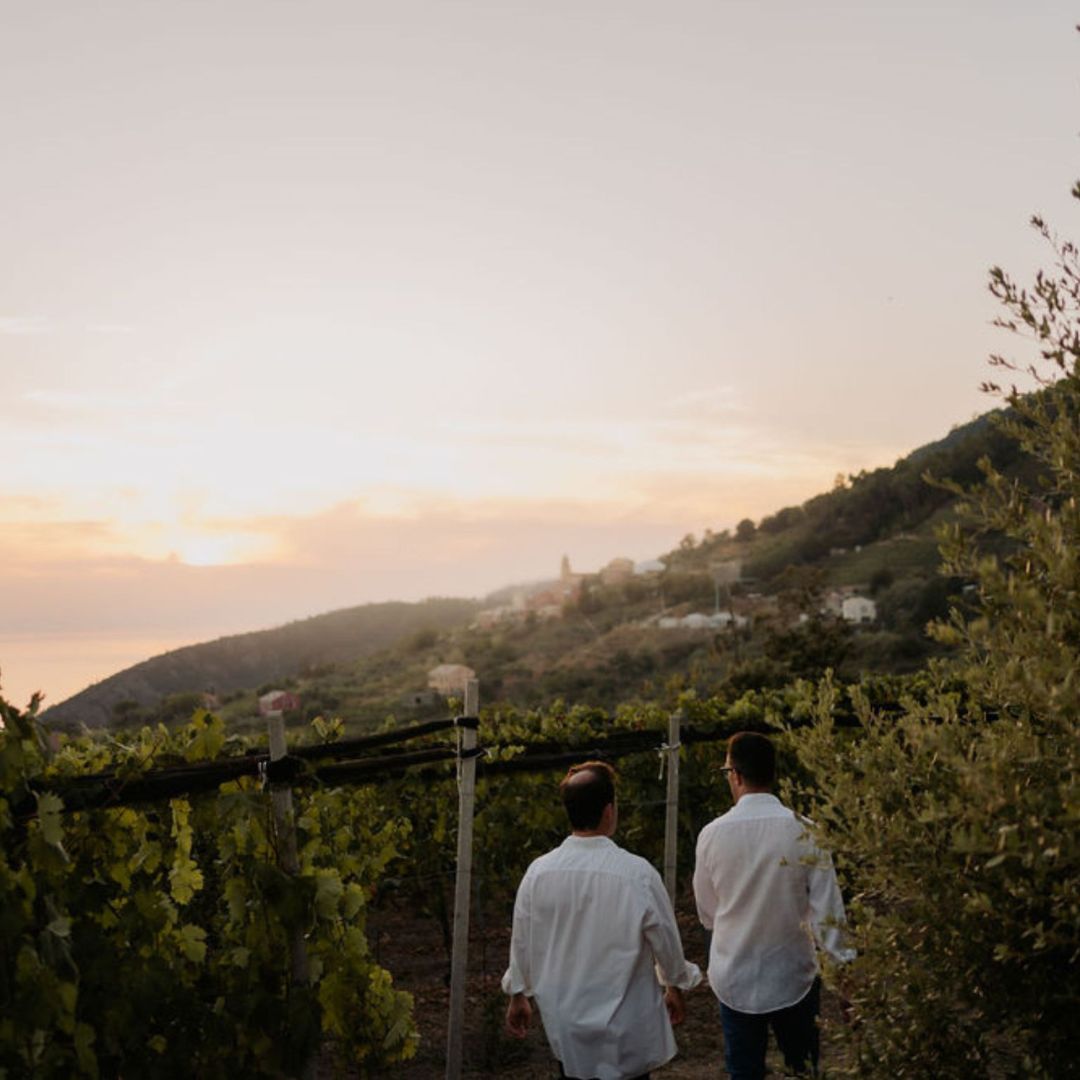 Boutique Winery Visit with Food & Wine Tastings in Cinque Terre - Wine Tasting - Touraround
