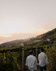 Boutique Winery Visit with Food & Wine Tastings in Cinque Terre - Wine Tasting - Touraround