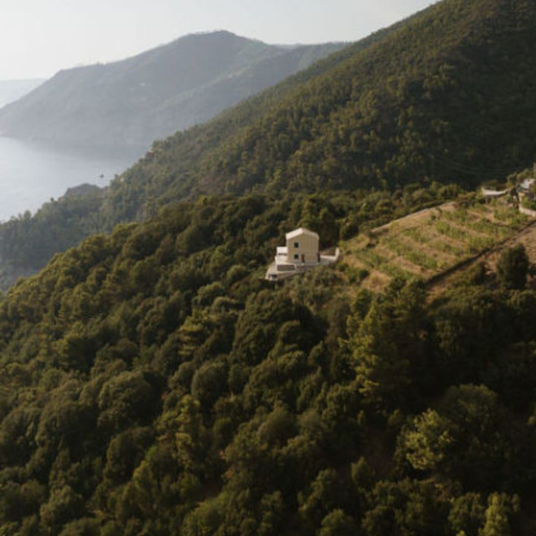 Boutique Winery Visit with Food & Wine Tastings in Cinque Terre - Wine Tasting - Touraround