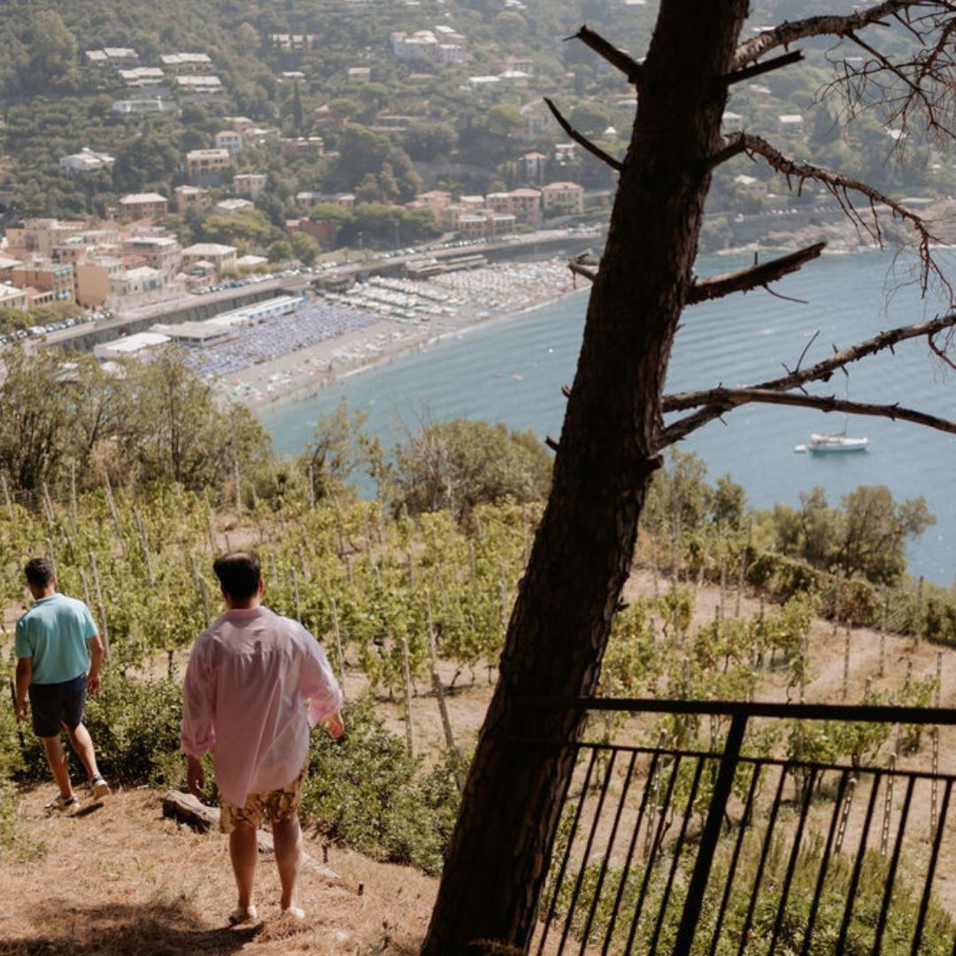 Boutique Winery Visit with Food & Wine Tastings in Cinque Terre - Wine Tasting - Touraround