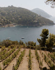 Boutique Winery Visit with Food & Wine Tastings in Cinque Terre - Wine Tasting - Touraround