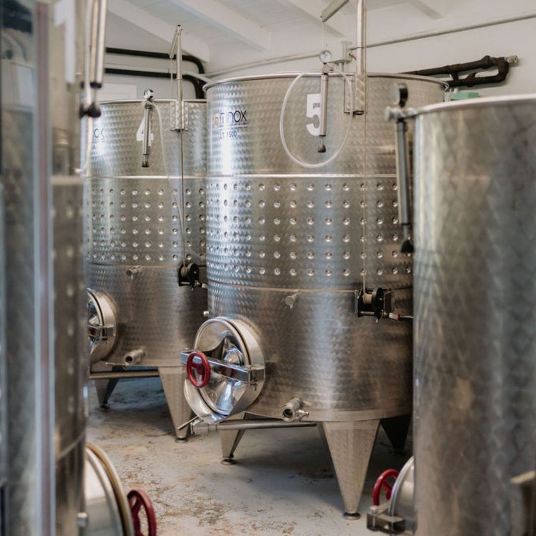 Boutique Winery Visit with Food & Wine Tastings in Cinque Terre - Wine Tasting - Touraround