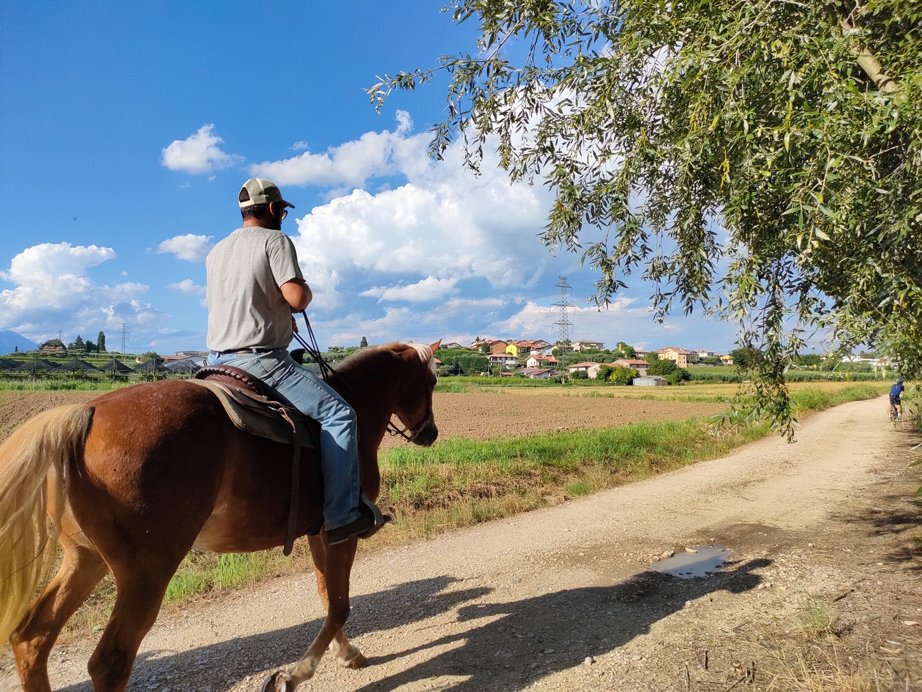 2 hours Horseback Ride in Lake Garda countryside