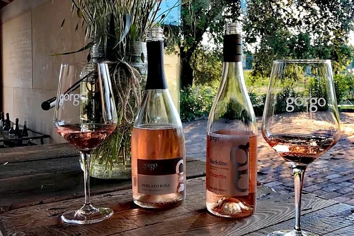 Custoza: tasting of 5 organic wines with vineyard and cellar tour - Wine Tasting - Touraround