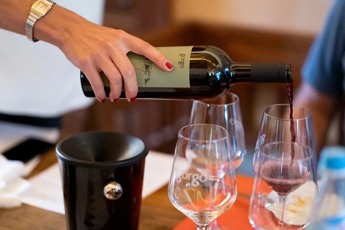 Custoza: tasting of 5 organic wines with vineyard and cellar tour - Wine Tasting - Touraround