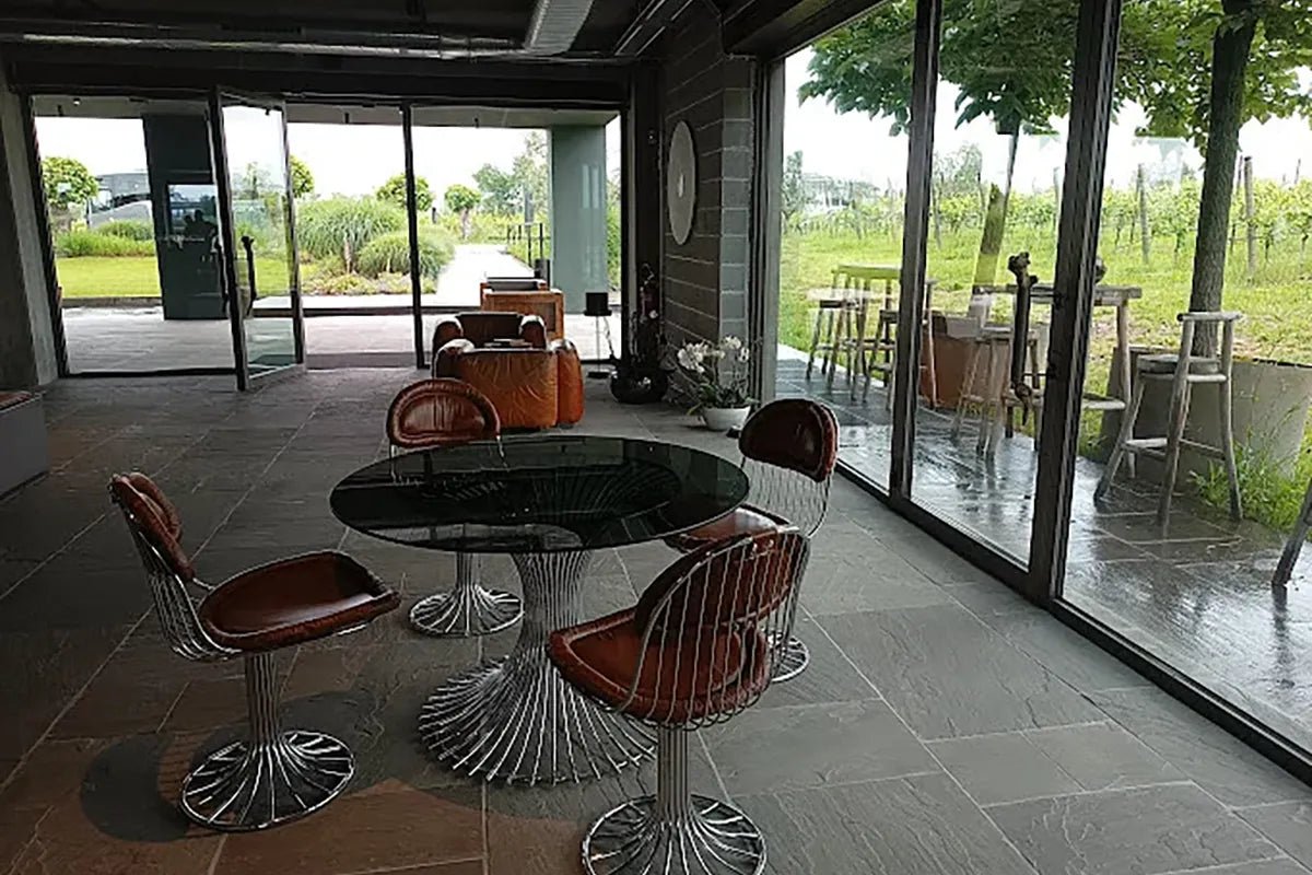 Desenzano: tasting of Lugana wines with vineyard and cellar tour - Wine Tasting - Touraround