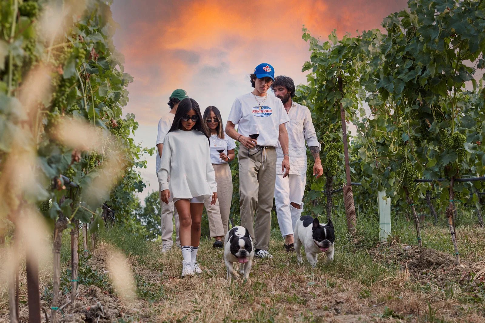 Desenzano: tasting of Lugana wines with vineyard and cellar tour - Wine Tasting - Touraround