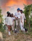 Desenzano: tasting of Lugana wines with vineyard and cellar tour - Wine Tasting - Touraround