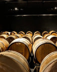 Desenzano: tasting of Lugana wines with vineyard and cellar tour - Wine Tasting - Touraround