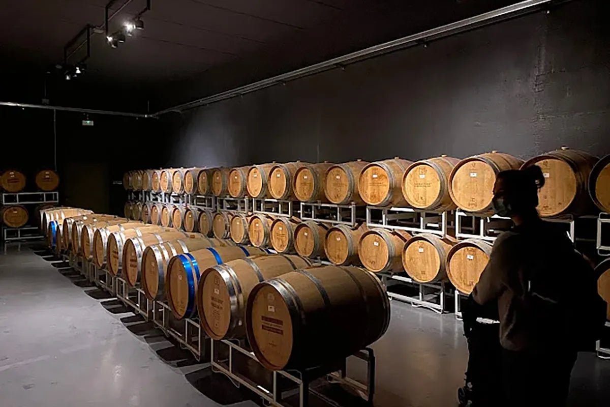 Desenzano: tasting of Lugana wines with vineyard and cellar tour - Wine Tasting - Touraround