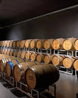Desenzano: tasting of Lugana wines with vineyard and cellar tour - Wine Tasting - Touraround
