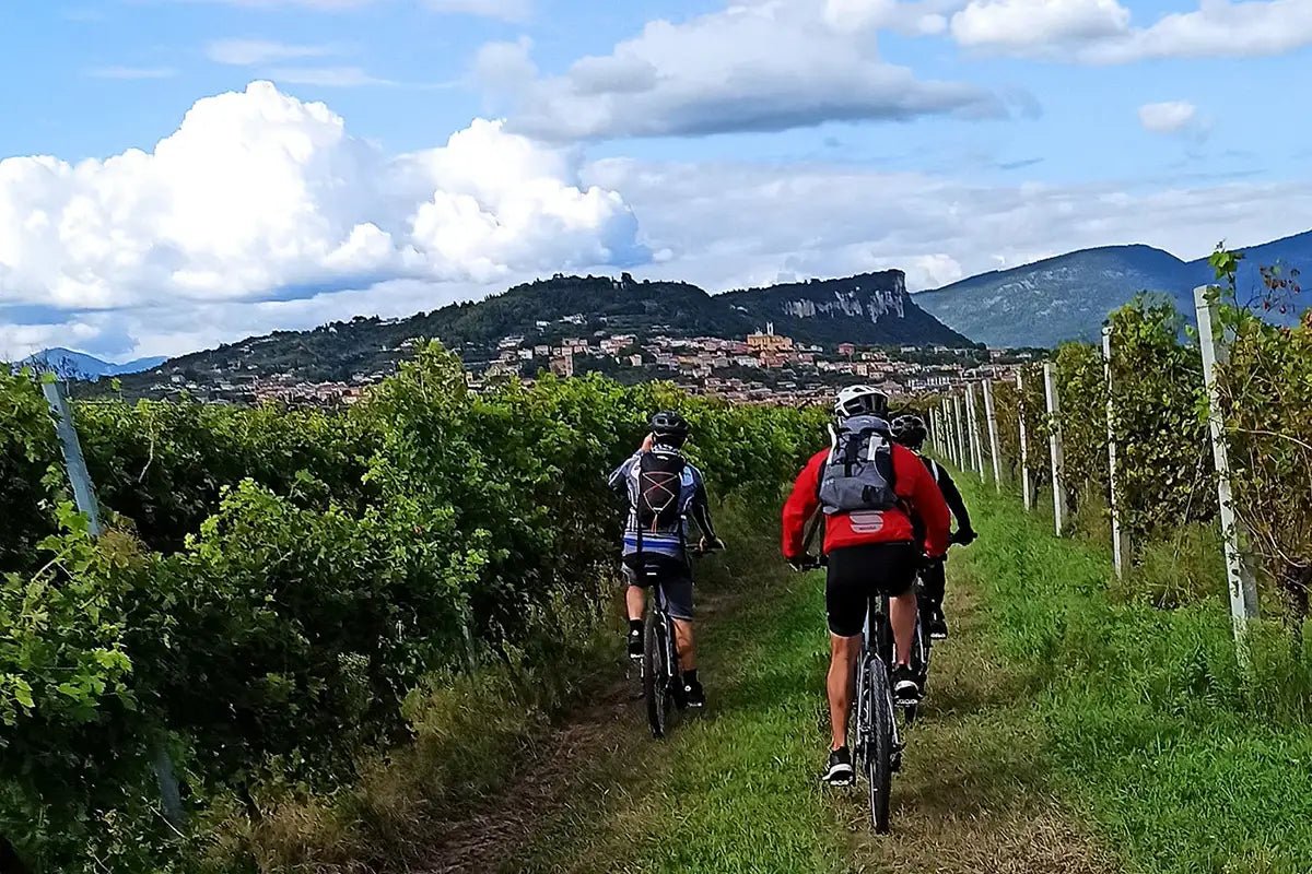 E - Bike Tour and Wine Tasting from Bardolino - Bike Tour - Touraround