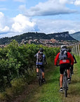 E - Bike Tour and Wine Tasting from Bardolino - Bike Tour - Touraround