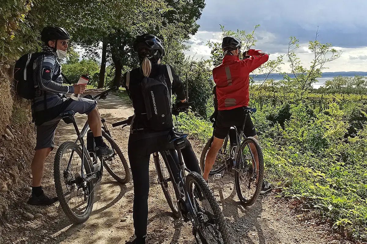 E - Bike Tour and Wine Tasting from Bardolino - Bike Tour - Touraround