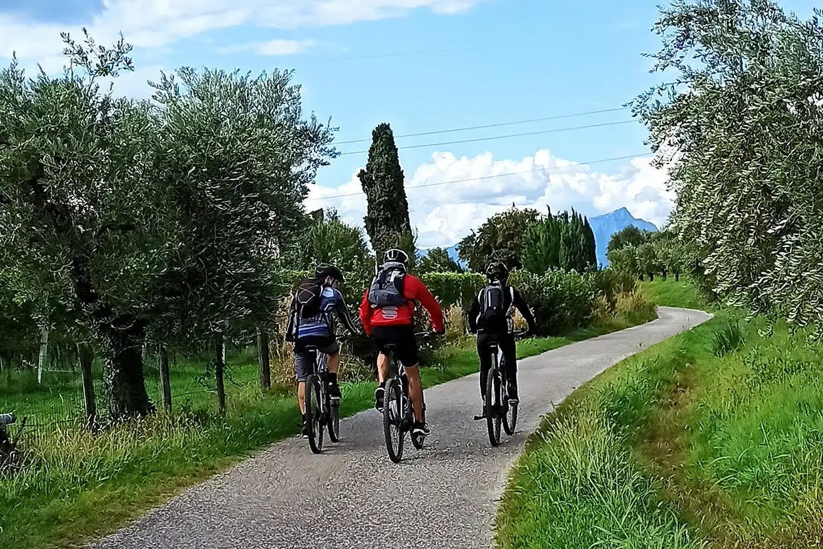 E - Bike Tour and Wine Tasting from Bardolino - Bike Tour - Touraround