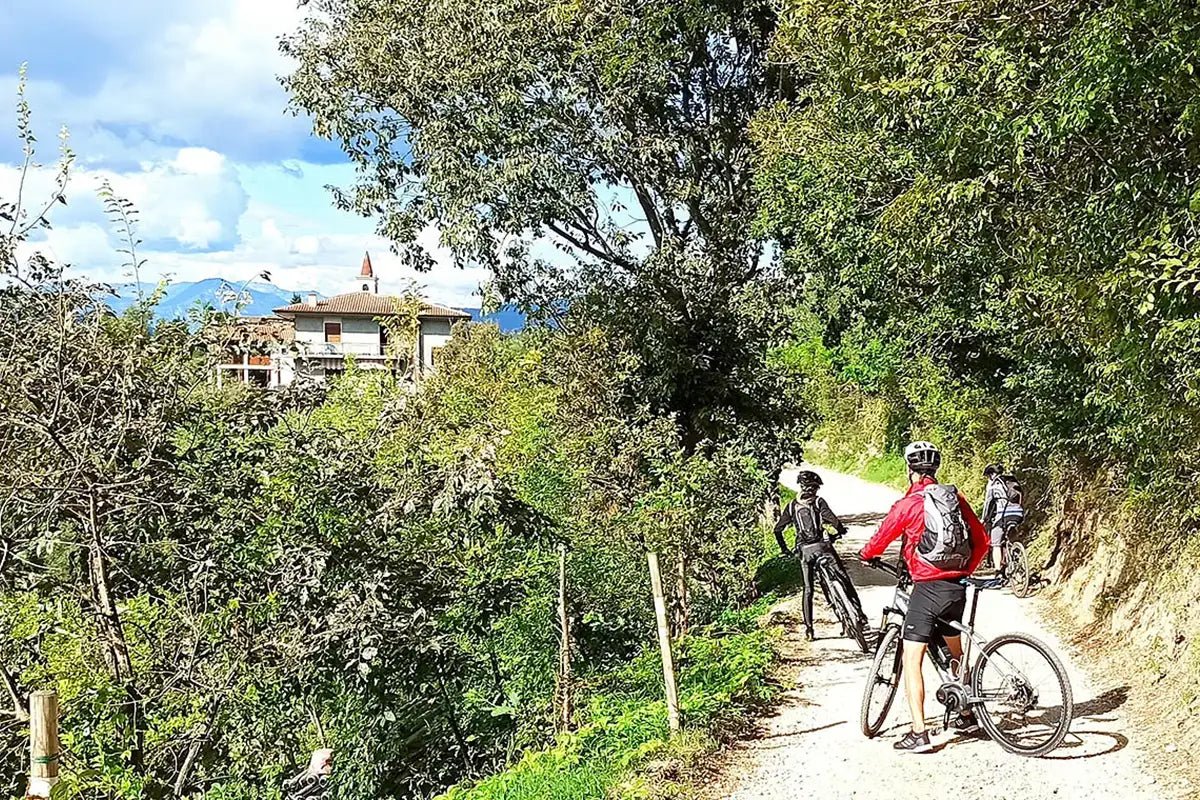 E - Bike Tour and Wine Tasting from Bardolino - Bike Tour - Touraround