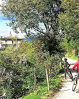 E - Bike Tour and Wine Tasting from Bardolino - Bike Tour - Touraround