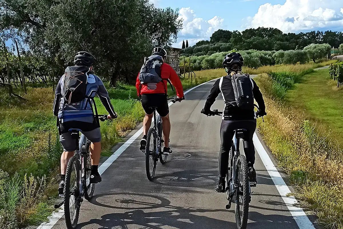 E - Bike Tour and Wine Tasting from Bardolino - Bike Tour - Touraround