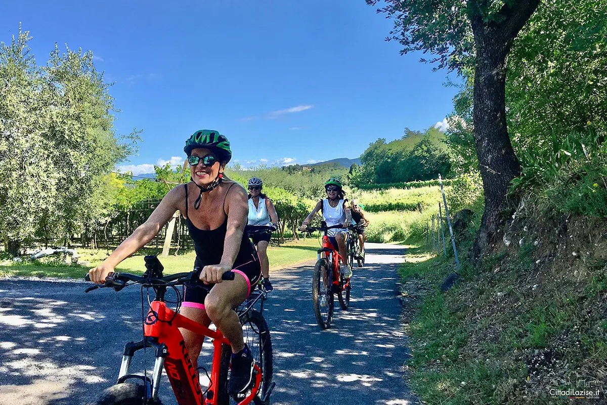 E - Bike tour and wine tasting in Lazise - Bike Tour - Touraround