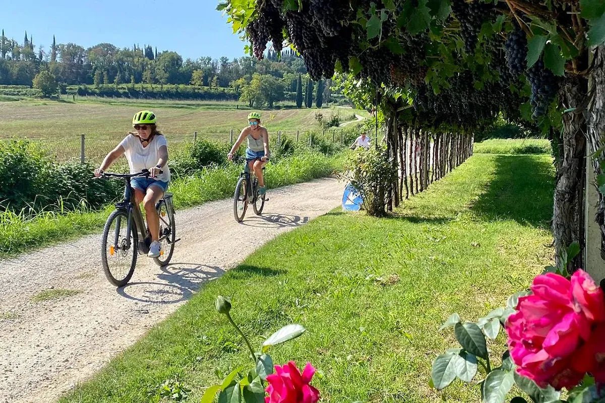 E - Bike Tour and wine tasting in Lazise Countryside - Bike Tour - Touraround