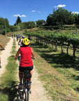 E - Bike Tour and wine tasting in Lazise Countryside - Bike Tour - Touraround