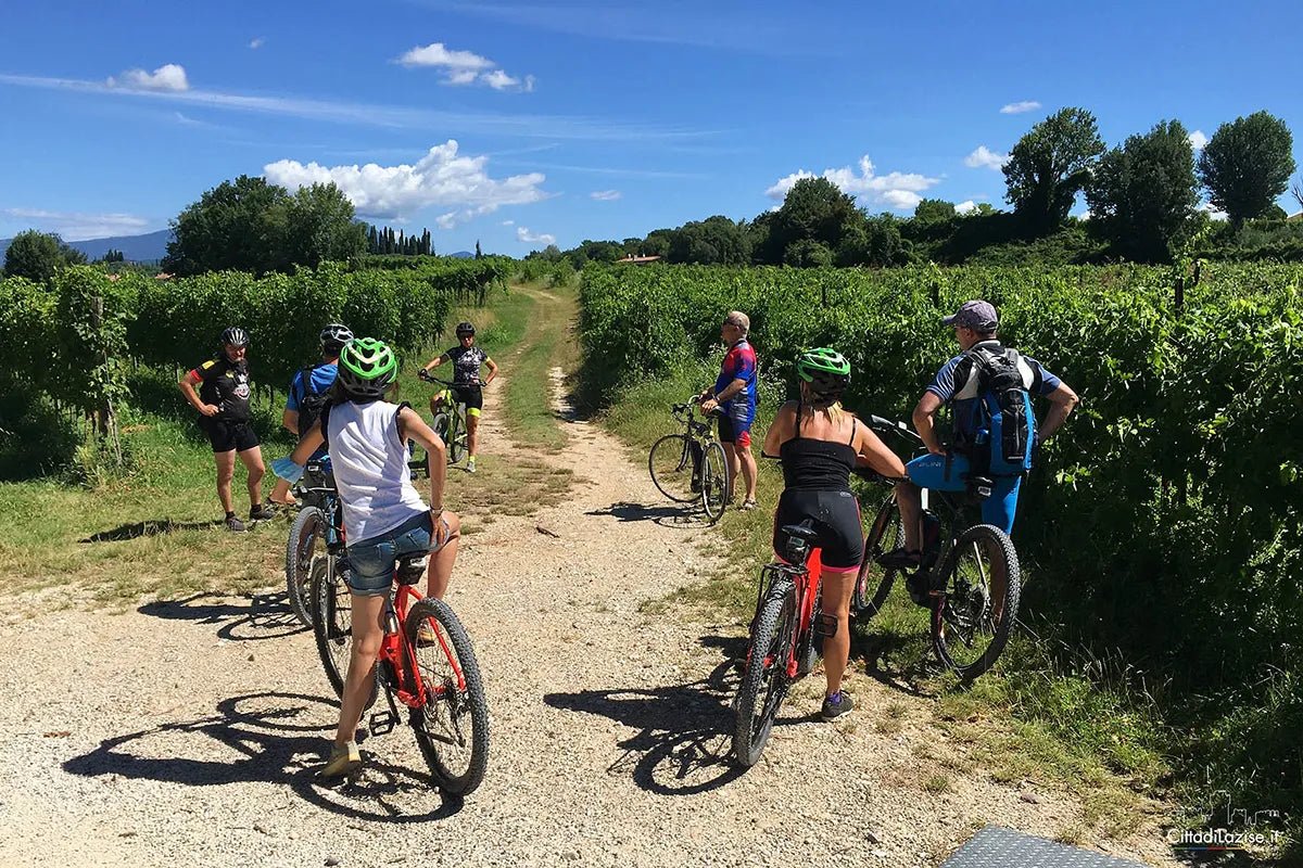 E - Bike Tour and wine tasting in Lazise Countryside - Bike Tour - Touraround