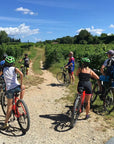 E - Bike Tour and wine tasting in Lazise Countryside - Bike Tour - Touraround