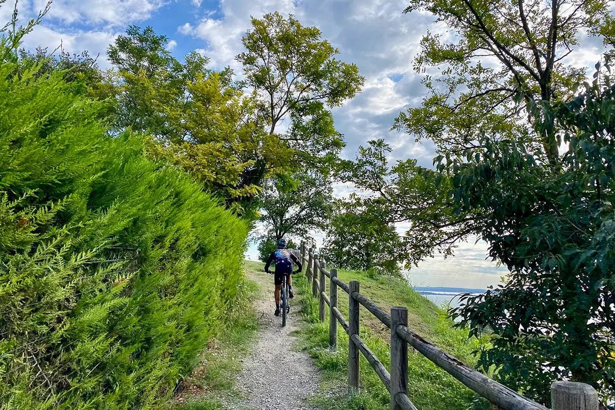 E - Bike tour from Desenzano with Wine Tasting - Bike Tour - Touraround