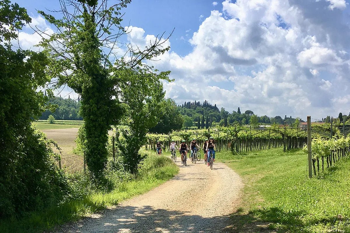 E - Bike tour with wine tasting from Polpenazze - Bike Tour - Touraround