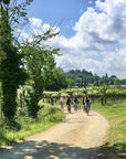 E - Bike tour with wine tasting from Polpenazze - Bike Tour - Touraround