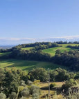 E - Bike Tour with wine tasting from Valeggio - Bike Tour - Touraround