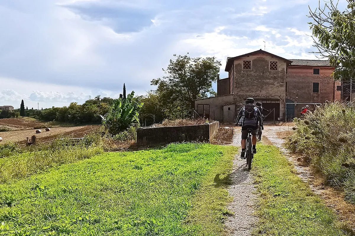 E - Bike Tour with wine tasting from Valeggio - Bike Tour - Touraround