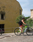 E - Bike Tour with wine tasting from Valeggio - Bike Tour - Touraround