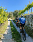 E - Bike tour with wine tasting on Valpolicella Hills - Bike Tour - Touraround