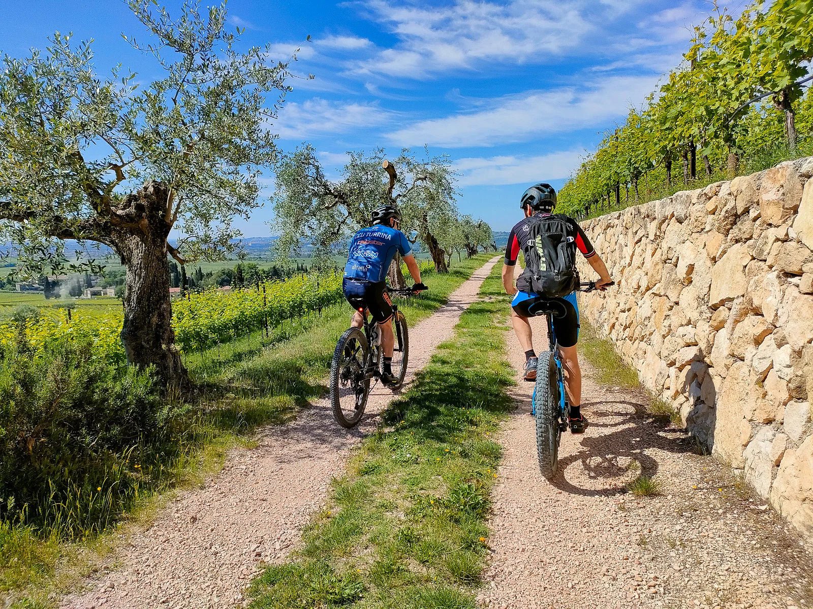 E - Bike tour with wine tasting on Valpolicella Hills - Bike Tour - Touraround