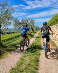 E - Bike tour with wine tasting on Valpolicella Hills - Bike Tour - Touraround