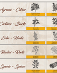 Easy Vermouth Tasting in Turin City Center - Easy Vermouth Tasting - Touraround
