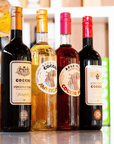 Easy Vermouth Tasting in Turin City Center - Easy Vermouth Tasting - Touraround