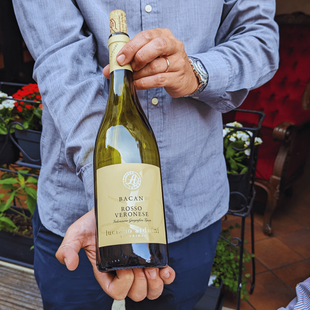 Easy Wine Tasting in Verona City Center - Wine Tasting - Touraround