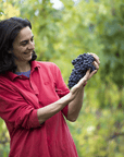 Explore the Castle Winery Tour & Tasting near Lake Maggiore - Wine Tasting - Touraround