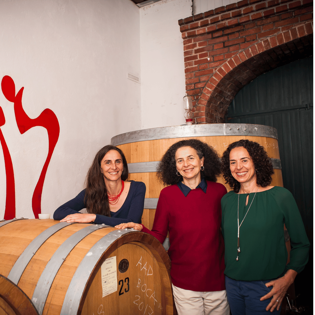 Explore the Castle Winery Tour & Tasting near Lake Maggiore - Wine Tasting - Touraround