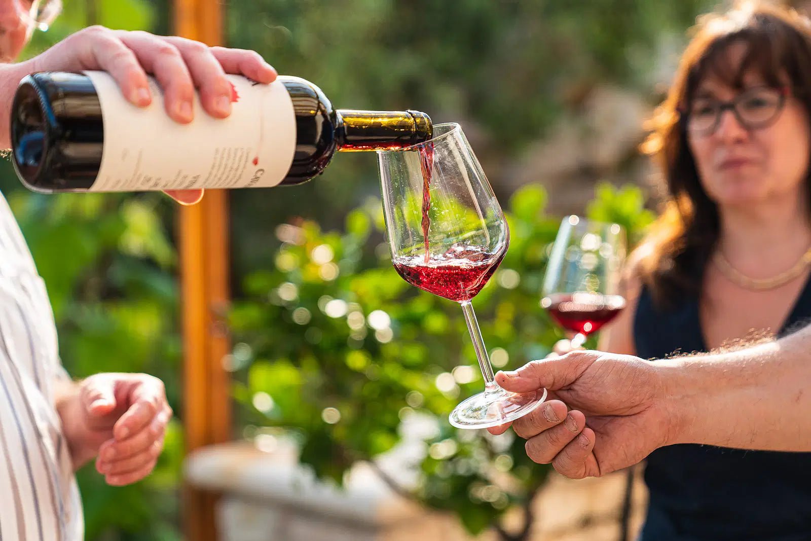 Fumane: tasting of 3 wines on Valpolicella Hills - Wine Tasting - Touraround