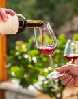 Fumane: tasting of 3 wines on Valpolicella Hills - Wine Tasting - Touraround