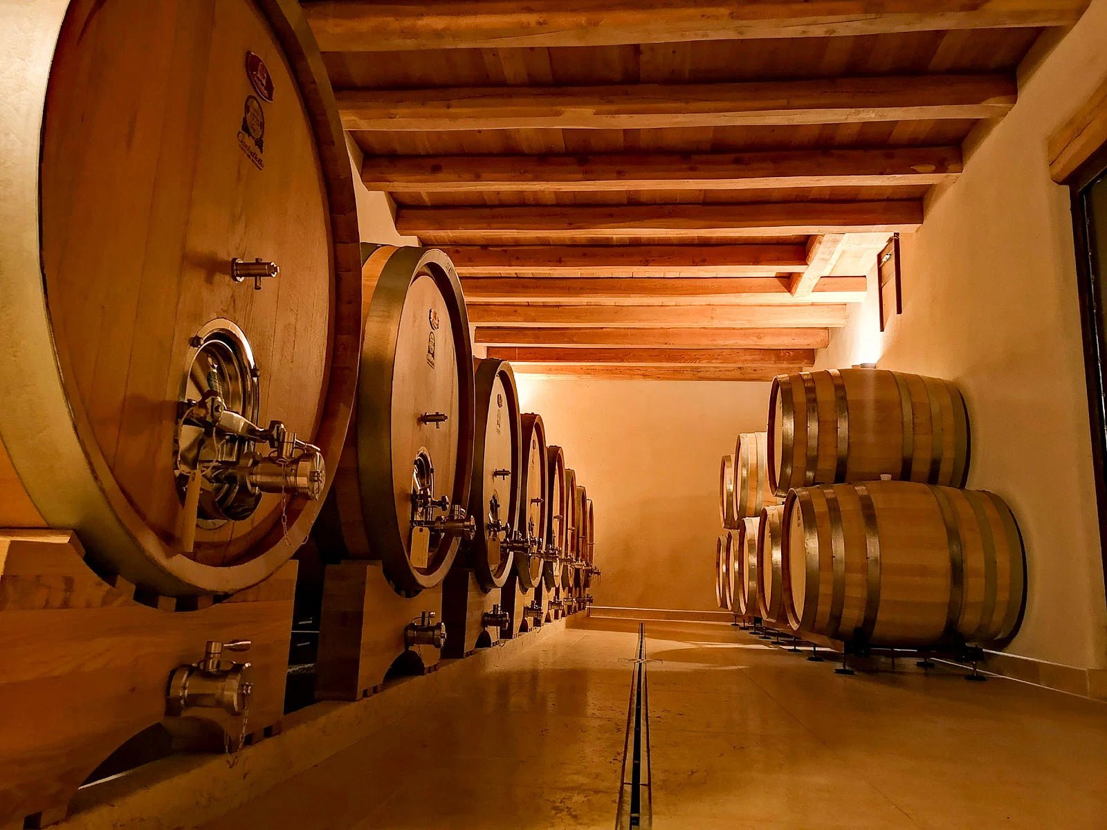Fumane: tasting of 3 wines on Valpolicella Hills - Wine Tasting - Touraround