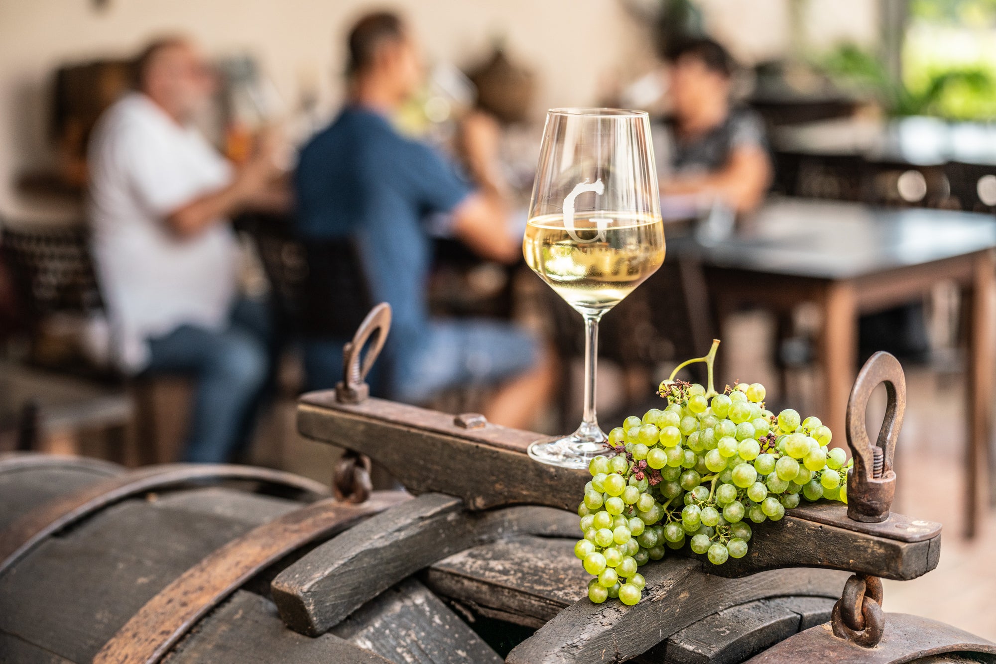 E-bike tour with wine tasting from Caprino Veronese - Touraround