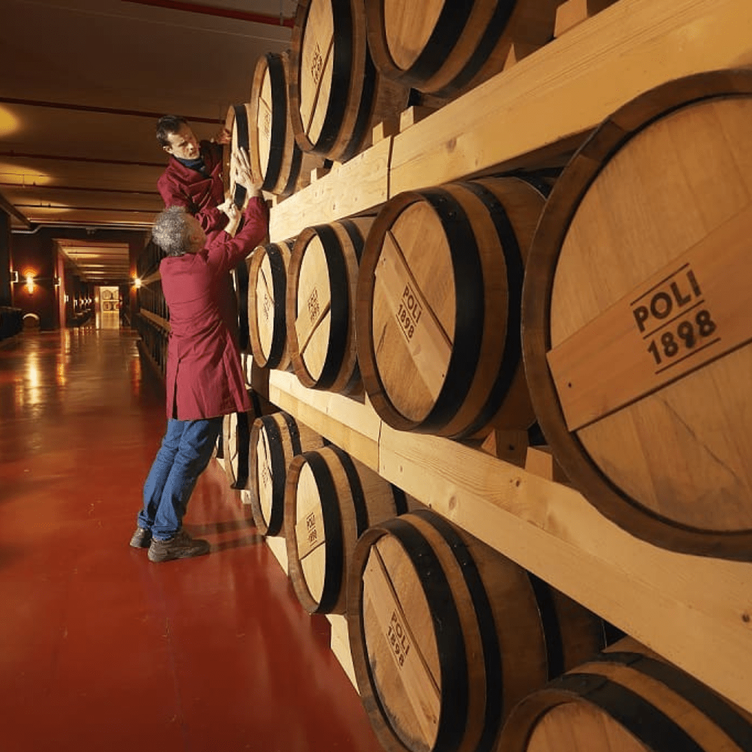 Grappa Tasting Experience in Venice - Grappa Tasting - Touraround