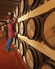 Grappa Tasting Experience in Venice - Grappa Tasting - Touraround
